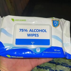 buy bulk disinfectant wipes Germany